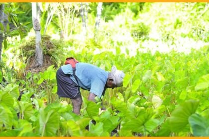 bharatika crop protection techniques