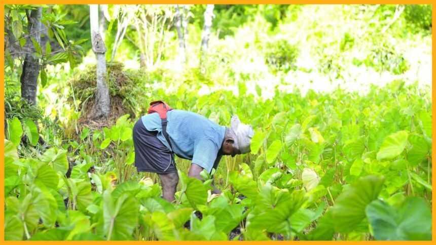 bharatika crop protection techniques