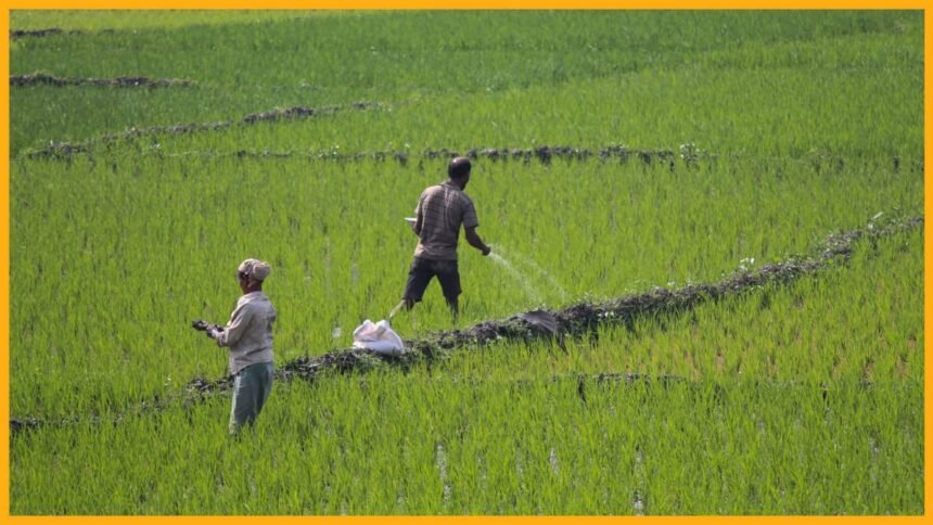bharatika nakli khad beej fertilizer