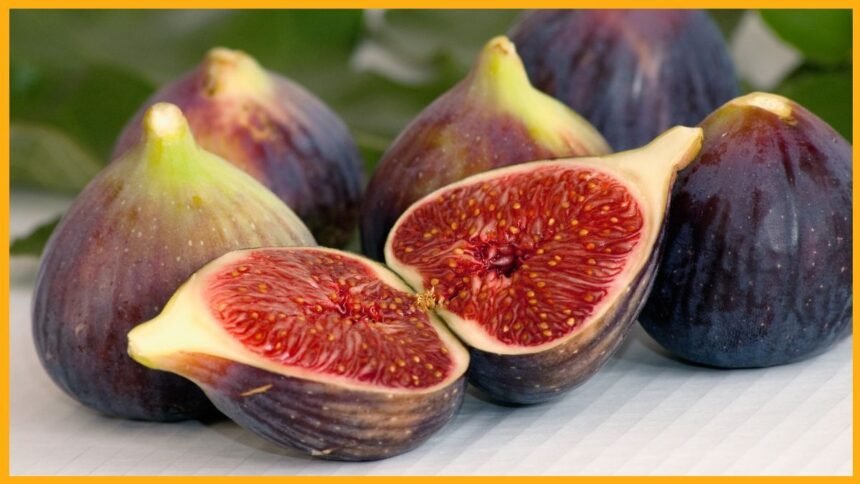 bharatika digital article health fig benefits