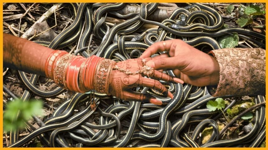 bharatikadigital article samaj gauriyacommunity