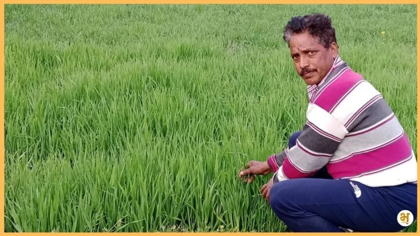 bharatikadigital article kisan rameshminan