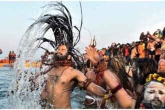 bharatikadigital article latest mahakumbh2025