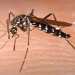 bharatika digital article health malaria