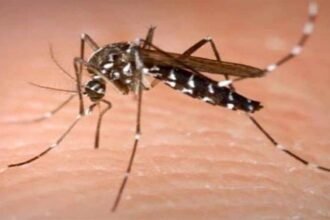 bharatika digital article health malaria