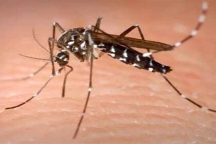 bharatika digital article health malaria