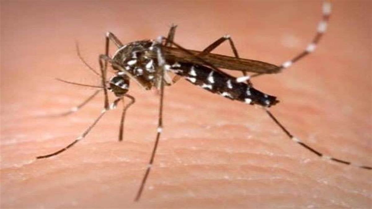 bharatika digital article health malaria