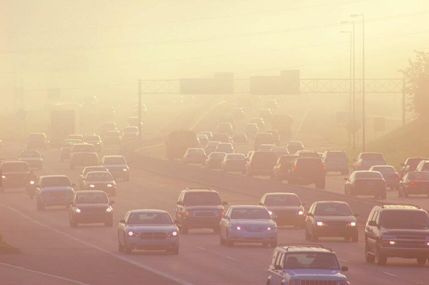 bharatika digital article latest health smog