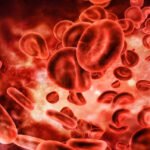 bharatika digital article health bloodcirculation