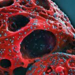 bharatika digital article health covidnewvarient2026