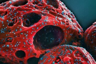 bharatika digital article health covidnewvarient2026