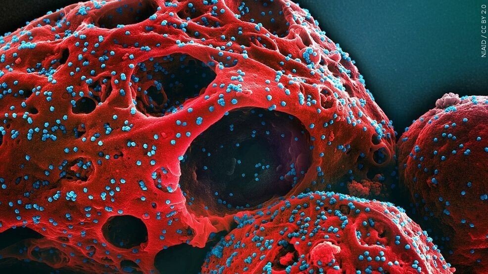 bharatika digital article health covidnewvarient2026